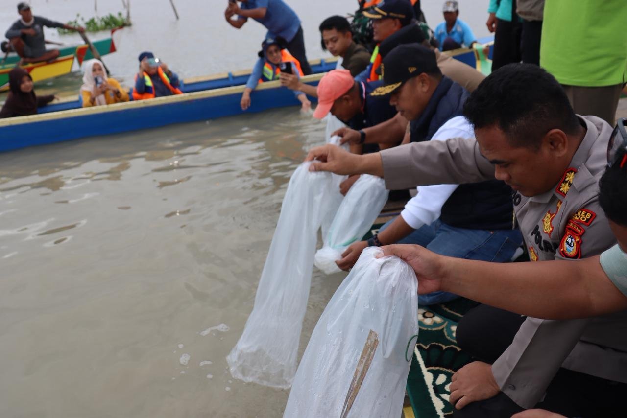 bupati wajo - bibit ikan