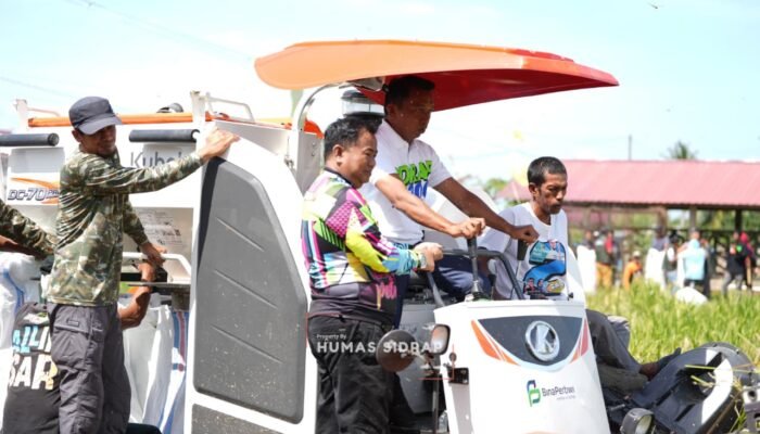 Bupati Syaharuddin Alrif Panen IP 300 Sidrap, Sawah Bulo Tembus 9,9 Ton per Hektare