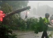 Banjir di Gresik dan Puting Beliung di Kalimantan Selatan, Warga Diminta Waspada