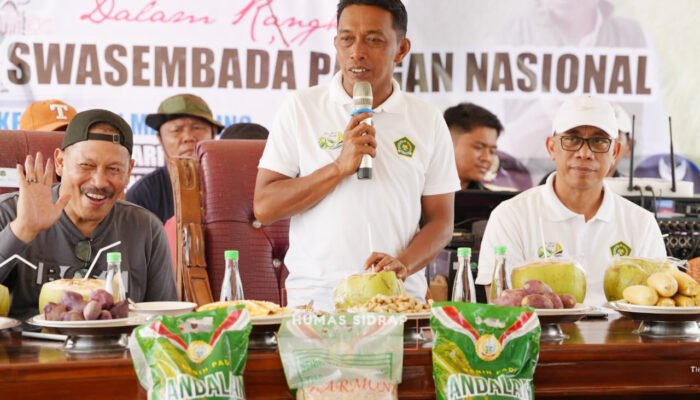 Panen Raya IP300, Bupati Syaharuddin Alrif Tegaskan Komitmen Pangan Sidrap