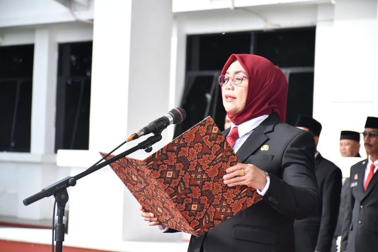 WhatsApp Image 2025-12-19 at 12.58.58