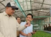 Bupati Uji Nurdin Tinjau Kultur Jaringan Benih Kentang, Bantaeng Siap Jadi Sentra Benih