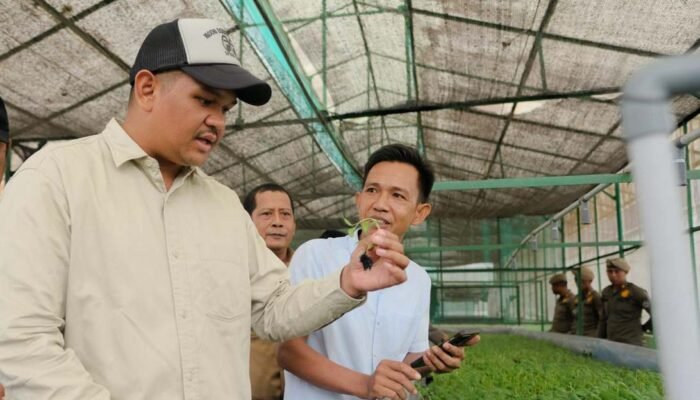 Bupati Uji Nurdin Tinjau Kultur Jaringan Benih Kentang, Bantaeng Siap Jadi Sentra Benih