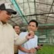 Bupati Bantaeng Uji Nurdin meninjau bibit kentang kultur jaringan di Balai Benih Hortikultura Bantaeng