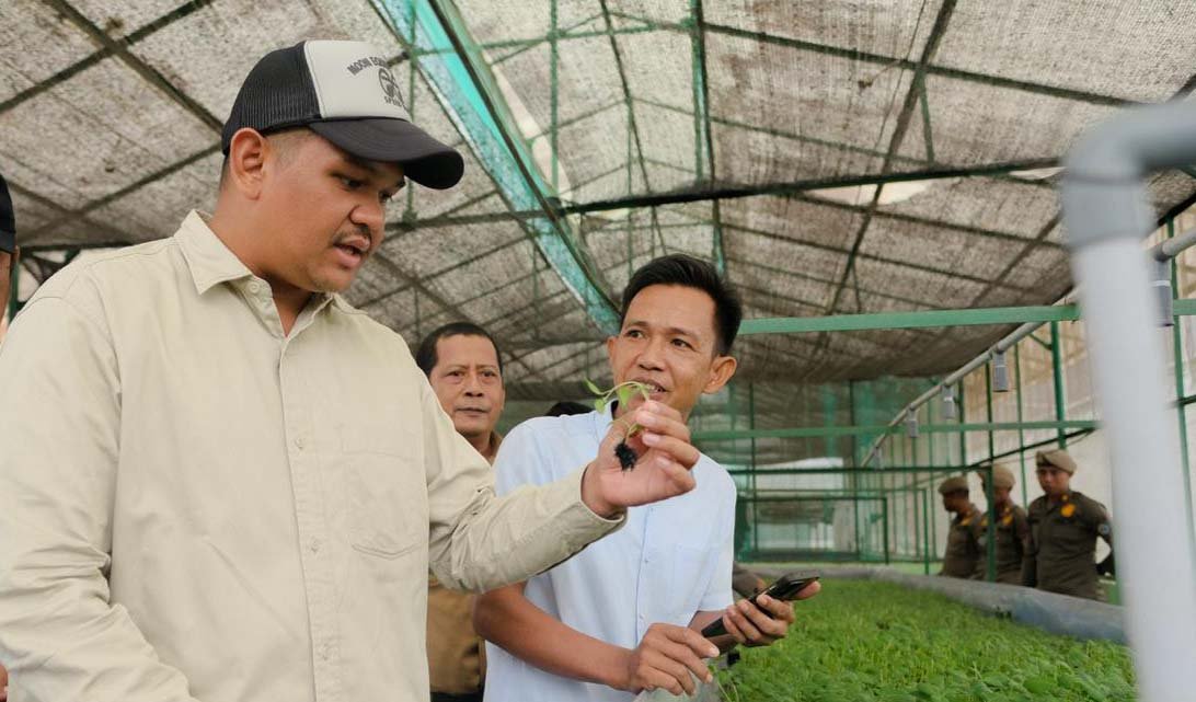 Bupati Bantaeng Uji Nurdin meninjau bibit kentang kultur jaringan di Balai Benih Hortikultura Bantaeng