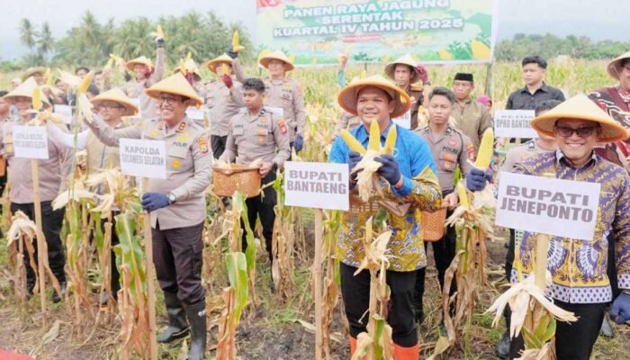 Panen Raya Jagung 2026 Digelar di Bantaeng, Kapolda Sulsel Turun Langsung