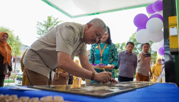 Resmikan Pustu Rawat Jalan Mattiro Bulu, Bupati Pinrang Peringatkan Keselamatan Pasien