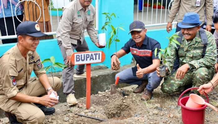 Bupati Bone Tanam Perdana 1.000 Pohon di Patimpeng, Dorong Pelestarian Lingkungan
