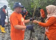 Pemkab Pinrang Tanam Mangrove Cegah Abrasi di Pesisir Suppa