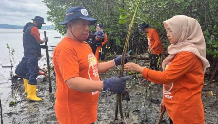 Pemkab Pinrang Tanam Mangrove Cegah Abrasi di Pesisir Suppa