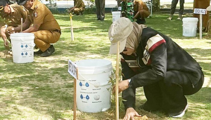 Aksi Tanam Pohon Wajo, Andi Merly Iswita Tegaskan Lingkungan Berkelanjutan