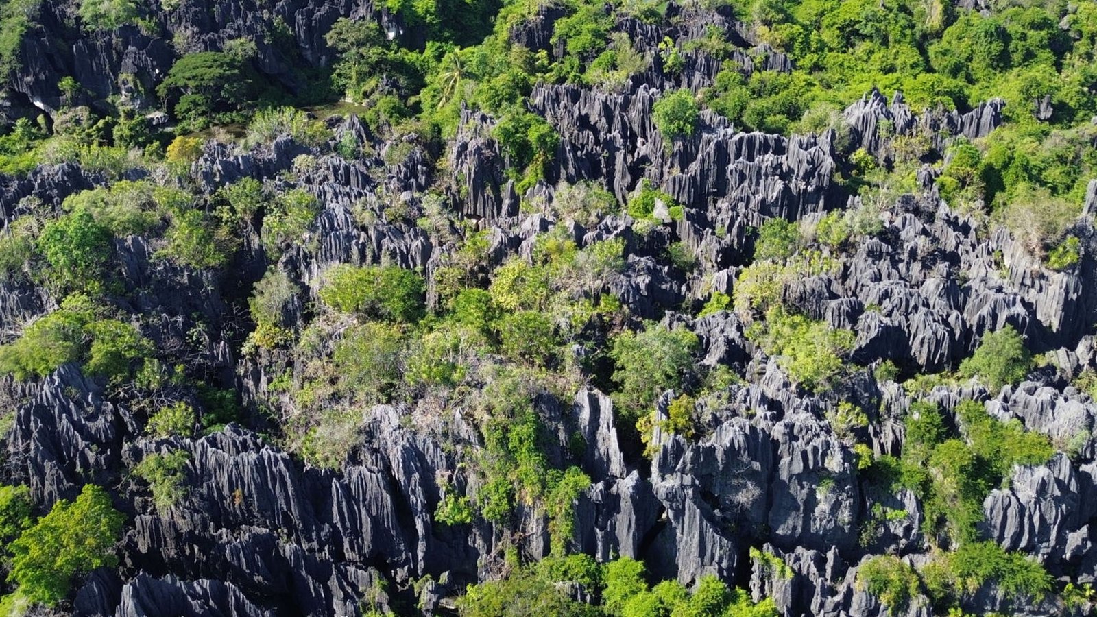 panorama karst geopark maros pangkep dari udara dengan tebing batu kapur dan hamparan sawah hijau
