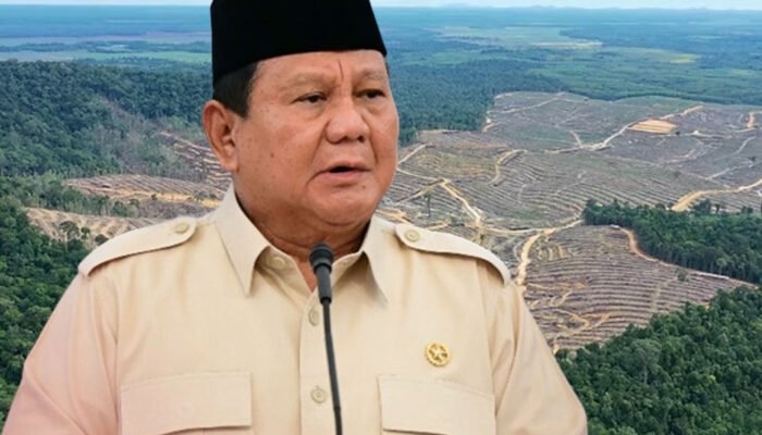 presiden prabowo subianto mencabut izin 28 perusahaan kehutanan