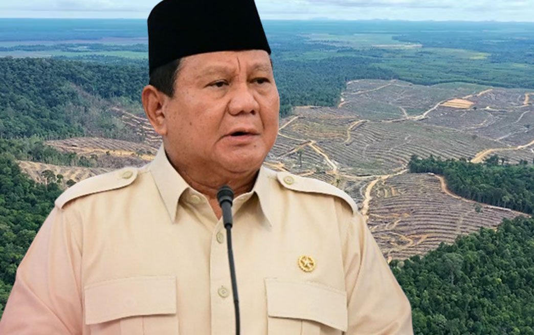 presiden prabowo subianto mencabut izin 28 perusahaan kehutanan