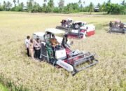 Rekor 2025! Bupati Pinrang Pacu Pertanian, Produksi Tumbuh 8,4 Persen