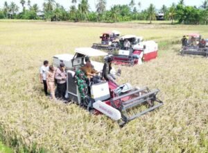 Bupati Pinrang Andi Irwan Hamid bersama data produksi pertanian 2025 yang meningkat 8,4 persen menjadi 688.000 ton GKP berkat program IP 300 dan 117 paket infrastruktur pertanian.