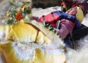 Satu Desa, Banyak Wahana: Air Panas, Jeram, sampai Durian Sepuasnya di Desa Pincara