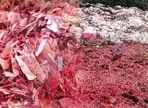 petugas kepolisian mengamankan cacahan uang di tps liar setu bekasi