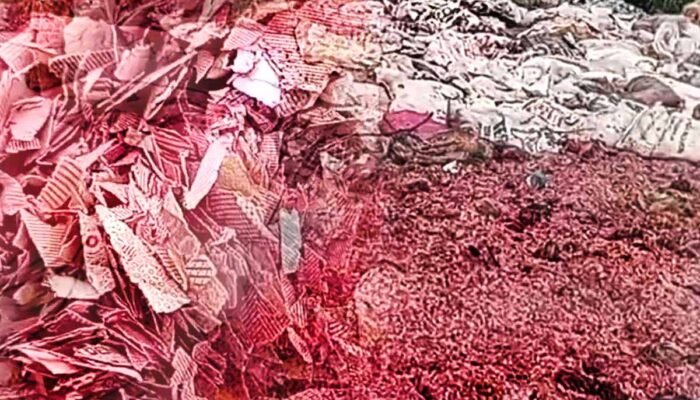 Viral di TPS Liar, Polisi Pastikan Cacahan Rp50 Ribu–Rp100 Ribu Asli