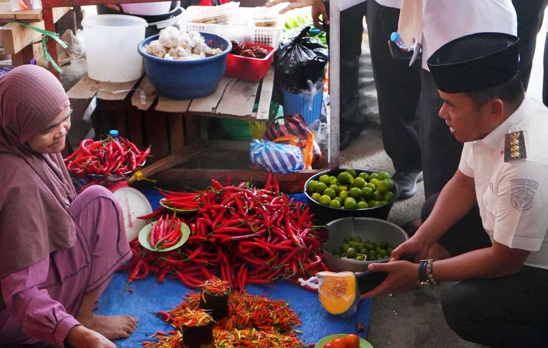 bupati wajo andi rosman memantau harga bahan pokok di pasar mini sengkang