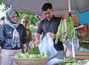 bupati gowa sitti husniah talenrang memantau harga bahan pokok di pasar minasa maupa somba opu