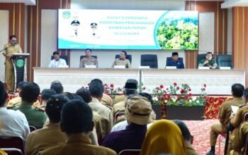 sekda luwu timur ramadhan pirade membuka rakor penertiban kawasan hutan di aula sasana praja kantor bupati luwu timur