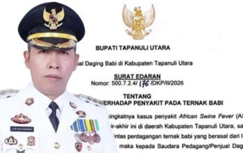 bupati tapanuli utara terbitkan surat edaran asf babi