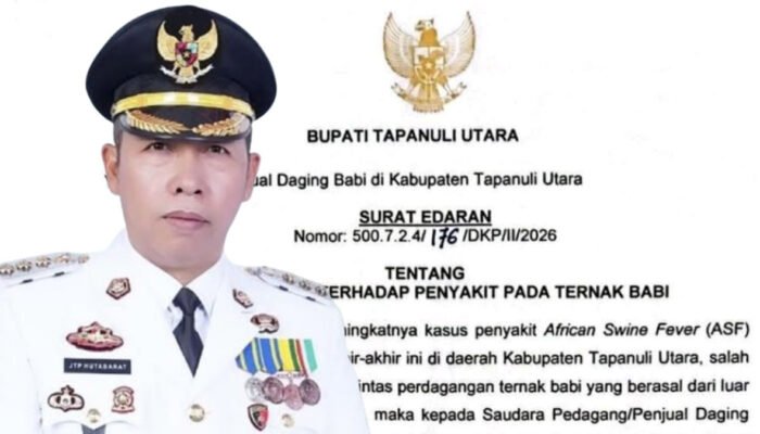 ASF Merebak, Bupati Tapanuli Utara Larang Pedagang Datangkan Babi dari Luar