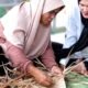 ibu rumah tangga menganyam daun nipah saat pelatihan di bangka tengah