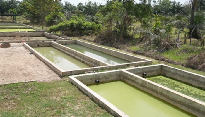 27 Infrastruktur Sanitasi Sempat Lumpuh, Kini Dipulihkan Usai Bencana di Sumatera