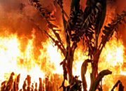 rumah warga terbakar dengan api besar di parepare