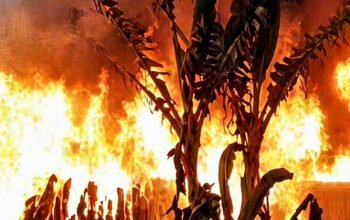 rumah warga terbakar dengan api besar di parepare