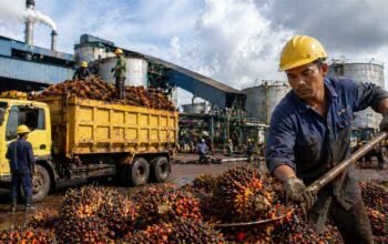 pekerja mengolah tandan buah sawit di pabrik untuk ekspor cpo indonesia