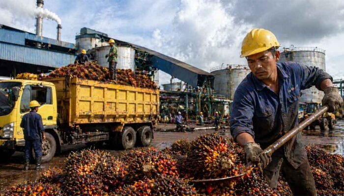 Ekspor CPO RI Tembus US$4,69 Miliar, Konflik Lahan Sawit Jadi Catatan Serius