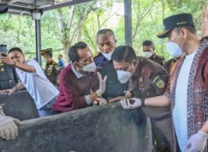 tembakau rokok ilegal diolah jadi kompos di pekanbaru