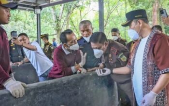 tembakau rokok ilegal diolah jadi kompos di pekanbaru