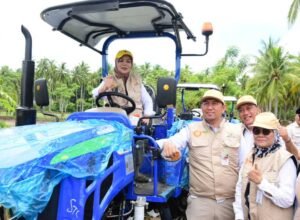 wagub gorontalo tanam padi di sawah baru pohuwato 10000 hektar
