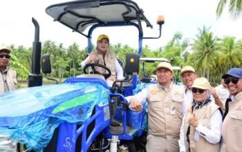 wagub gorontalo tanam padi di sawah baru pohuwato 10000 hektar