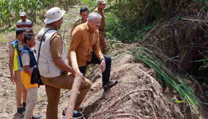 Abrasi Ancam Sawah dan Permukiman di Pinrang, Bupati Irwan Minta BBWS Turun Tangan