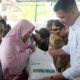 bupati bantaeng uji nurdin salurkan bantuan pangan kepada warga di kelurahan pallantikang