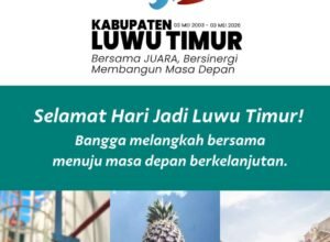 HUT 23 Tahun Luwu Timur, Menimbang Harmoni Industri dan Keberlanjutan Grafis HUT 23 Tahun Luwu Timur bersama PT Vale tentang pembangunan berkelanjutan