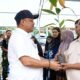 Bupati Luwu Patahudding menyerahkan bibit kakao kepada perwakilan petani di Desa Tampa Kecamatan Ponrang