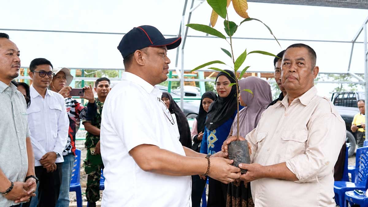 Bupati Luwu Patahudding menyerahkan bibit kakao kepada perwakilan petani di Desa Tampa Kecamatan Ponrang