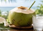 Fungsi Air Kelapa Muda bagi Kesehatan, Manfaat dan Batas Amannya