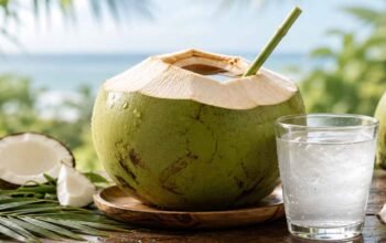 fungsi air kelapa muda bagi kesehatan sebagai minuman hidrasi alami