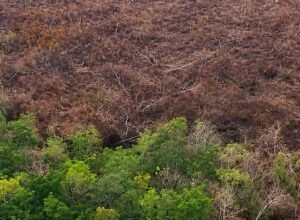 Tim gabungan melakukan pendinginan karhutla di lahan gambut Rupat Bengkalis