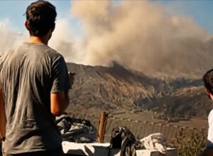 Kebakaran Bromo berdampak pada 899 hektare kawasan Taman Nasional Bromo Tengger Semeru pada 11 Agustus 2026.