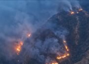 kebakaran hutan pinus di kawasan Gunung Nona, Enrekang, Sulawesi Selatan