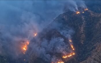 kebakaran hutan pinus di kawasan Gunung Nona, Enrekang, Sulawesi Selatan