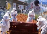 Ilustrasi penanganan wabah Ebola di Republik Demokratik Kongo